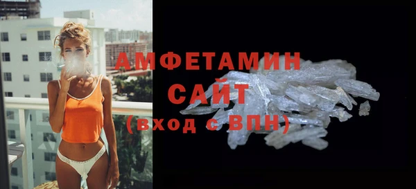 гидра Ессентукская