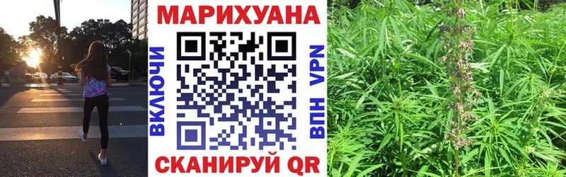 Конопля планчик  МЕГА ТОР  Смоленск 